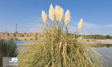 دریاچه مصنوعی گرمه