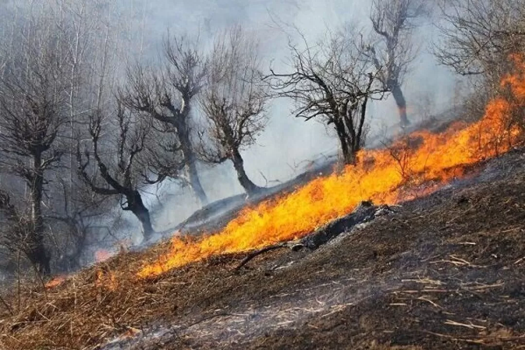 زنگ هشدار احتمال آتش‌سوزی طبیعت در خراسان‌شمالی