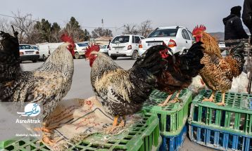 خراسان شمالی چند ساعت مانده به یلدا