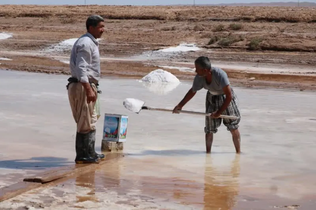 برداشت سنتی نمک از کال شور جاجرم