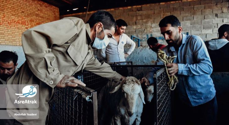 رونق بازار دام بجنورد در آستانه عیدقربان