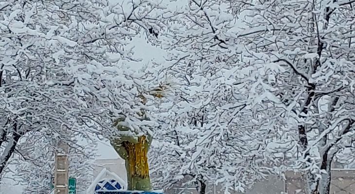 بارش برف زمستانی در فاروج